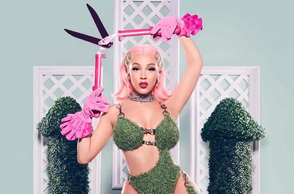 Doja Cat Faces Backlash and Loses Followers Amid Fan Name Controversy