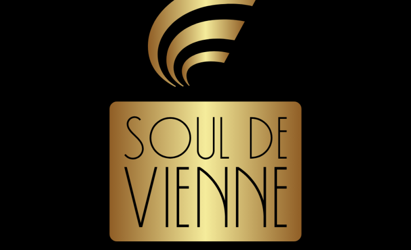 Soul de Vienne Redefines Musical Boundaries with Innovation and Expertise