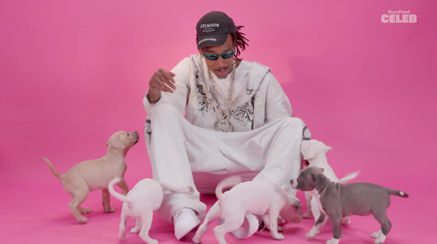 Wiz Khalifa Lists Dr. Dre as His Dream Collaborator While Being Interviewed With Puppies