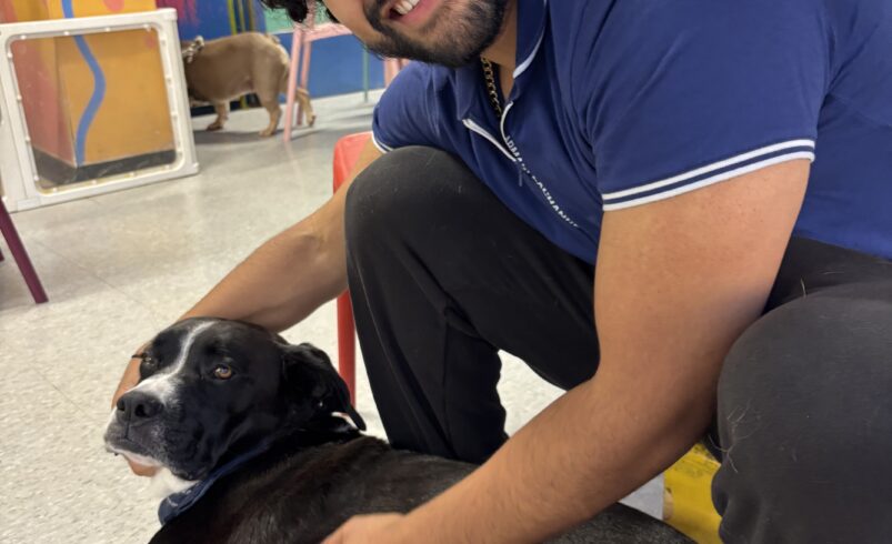 FOQQA Blends Reggaeton and Afrobeat on Emotional New Single “Te Xtraño Bebe :c”