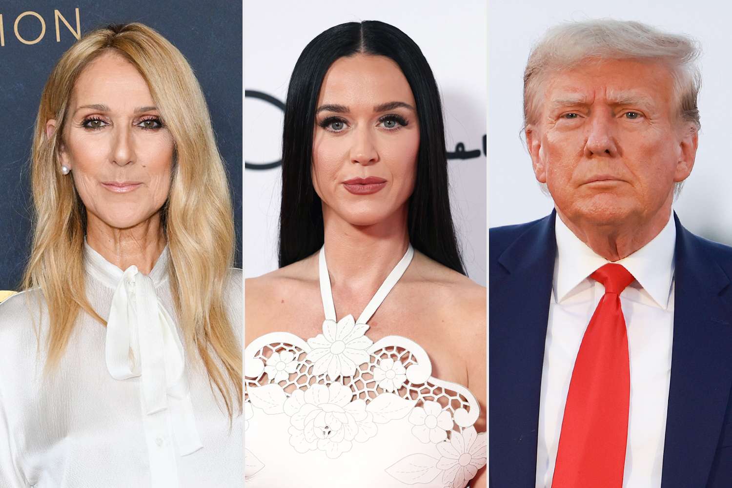 Musicians Who’ve Slammed Donald Trump for Using Their Songs Without Permission
